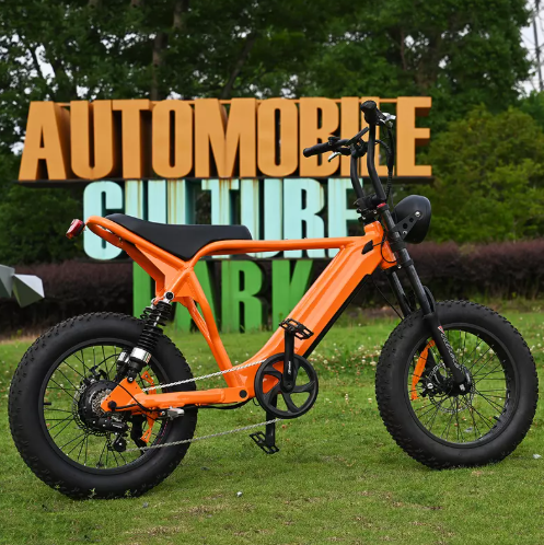 Até onde pode ir uma bicicleta elétrica de 750 W?