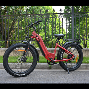 Bicicleta elétrica de pneu gordo de 26 polegadas de bateria dupla única