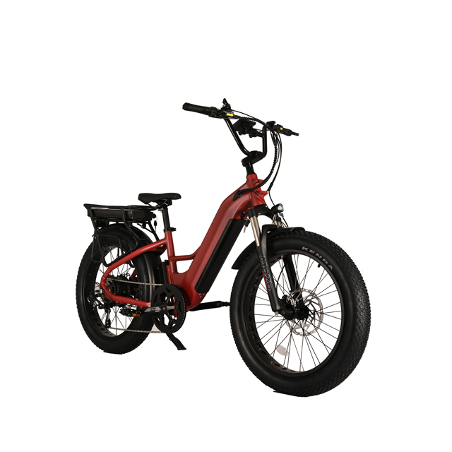 500W cauda dura Tone Tire City-Bike