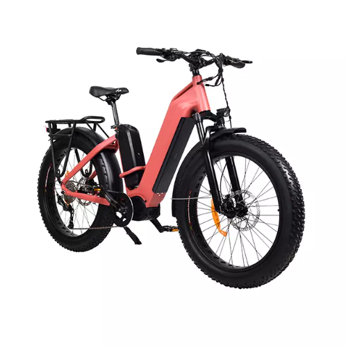 Por que as EBikes são banidas das trilhas?