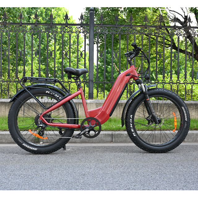 Bicicleta elétrica de pneu gordo de 26 polegadas de bateria dupla única