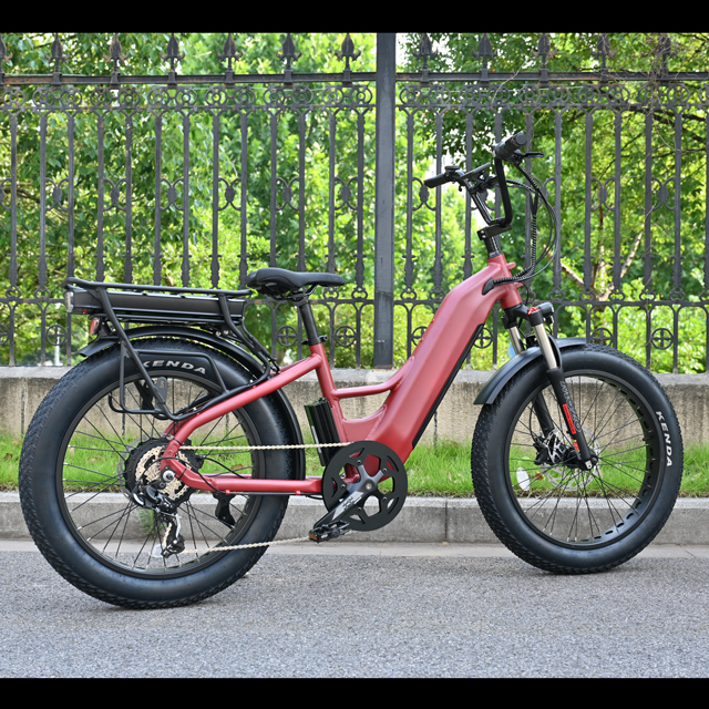 500W cauda dura Tone Tire City-Bike