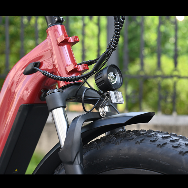 Bicicleta elétrica de pneu gordo de 26 polegadas de bateria dupla única