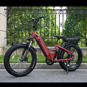 500W cauda dura Tone Tire City-Bike