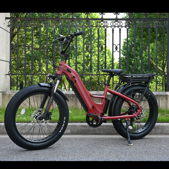 500W cauda dura Tone Tire City-Bike
