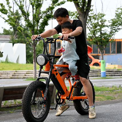 Bicicleta do motor traseiro com um pneu gordo de 20 polegada garfo de suspensão de coroa dupla com bicicleta elétrica de assento comprido