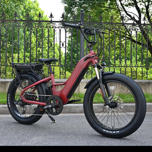500W cauda dura Tone Tire City-Bike