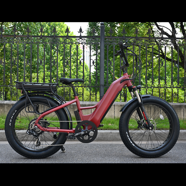 500W cauda dura Tone Tire City-Bike