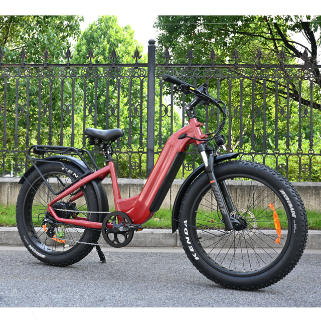 Bicicleta elétrica de pneu gordo de 26 polegadas de bateria dupla única