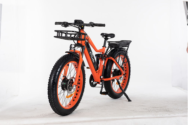 E-CELLS SUPER MONARCA AWD 700 1000 WATTS